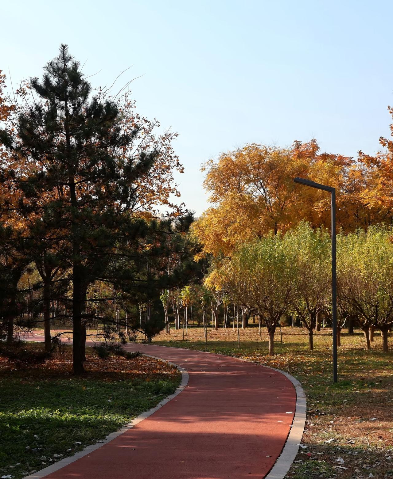 醒醒吧，跑友，跑步不是万能的，不能一头扎进跑步中不能自拔，当你懂得适可而止时，才