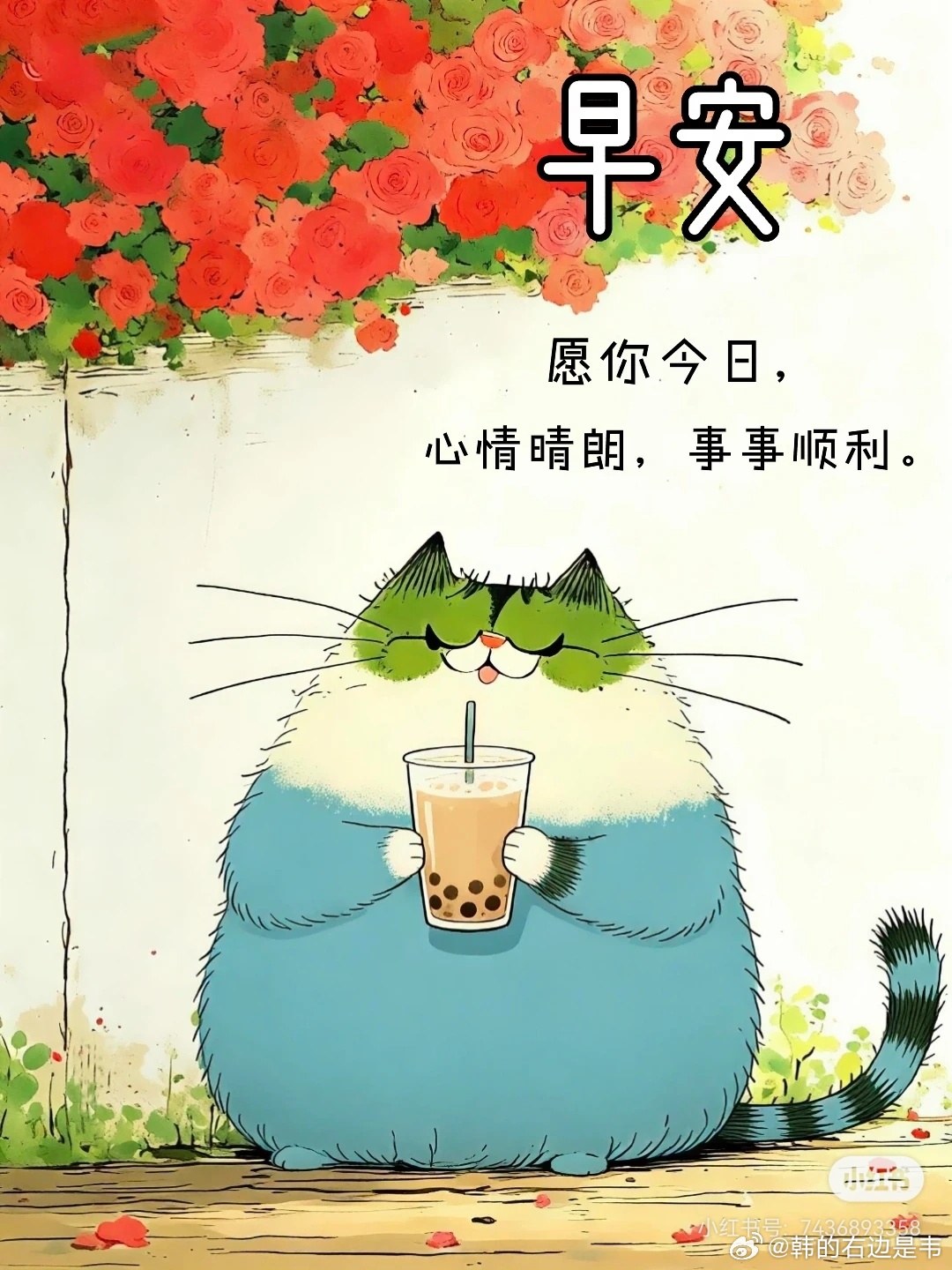 心情晴朗   万事👌🏻早安! 