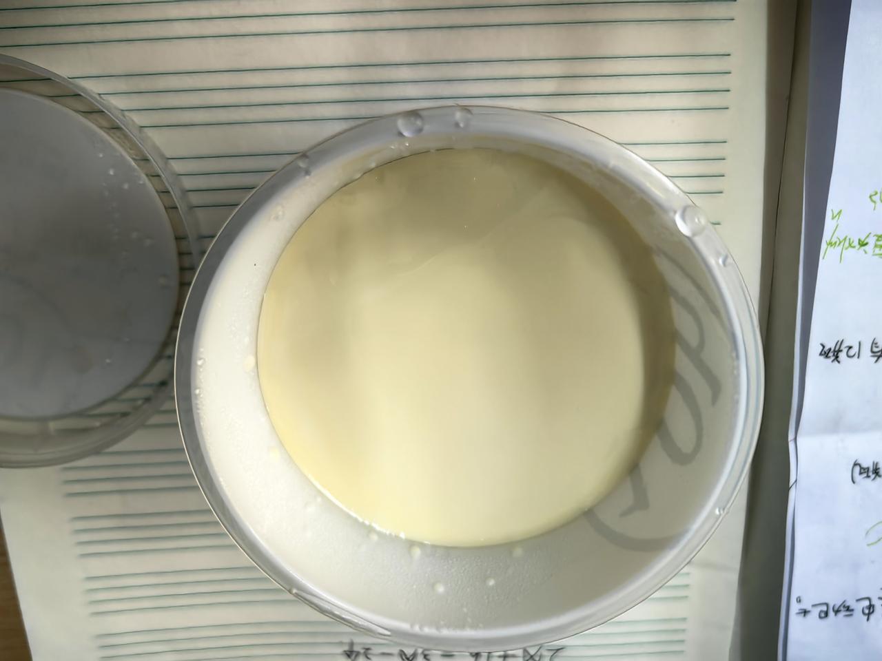 手工发酵酸奶，5.9块一小盒，很贵，只给女儿买了个。