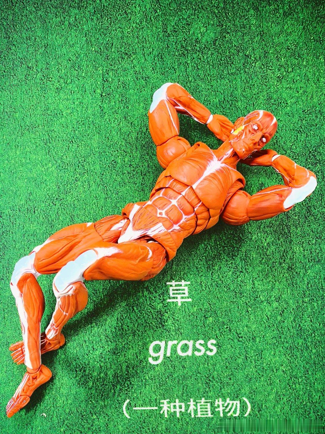 一周一赛球队的球迷在国际比赛日期间心情be like  