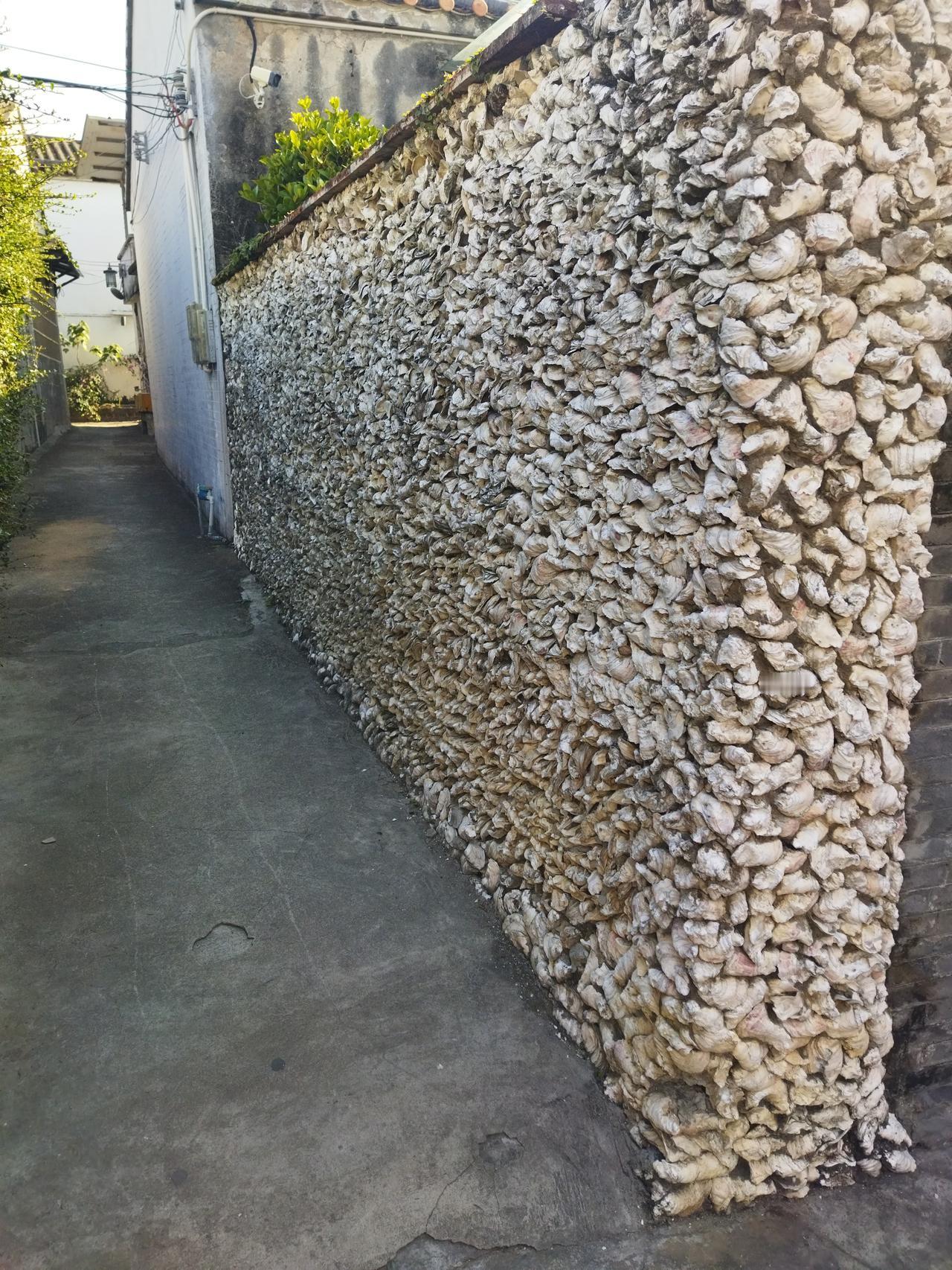 晒图笔记大赛休息一会，一会去机场。