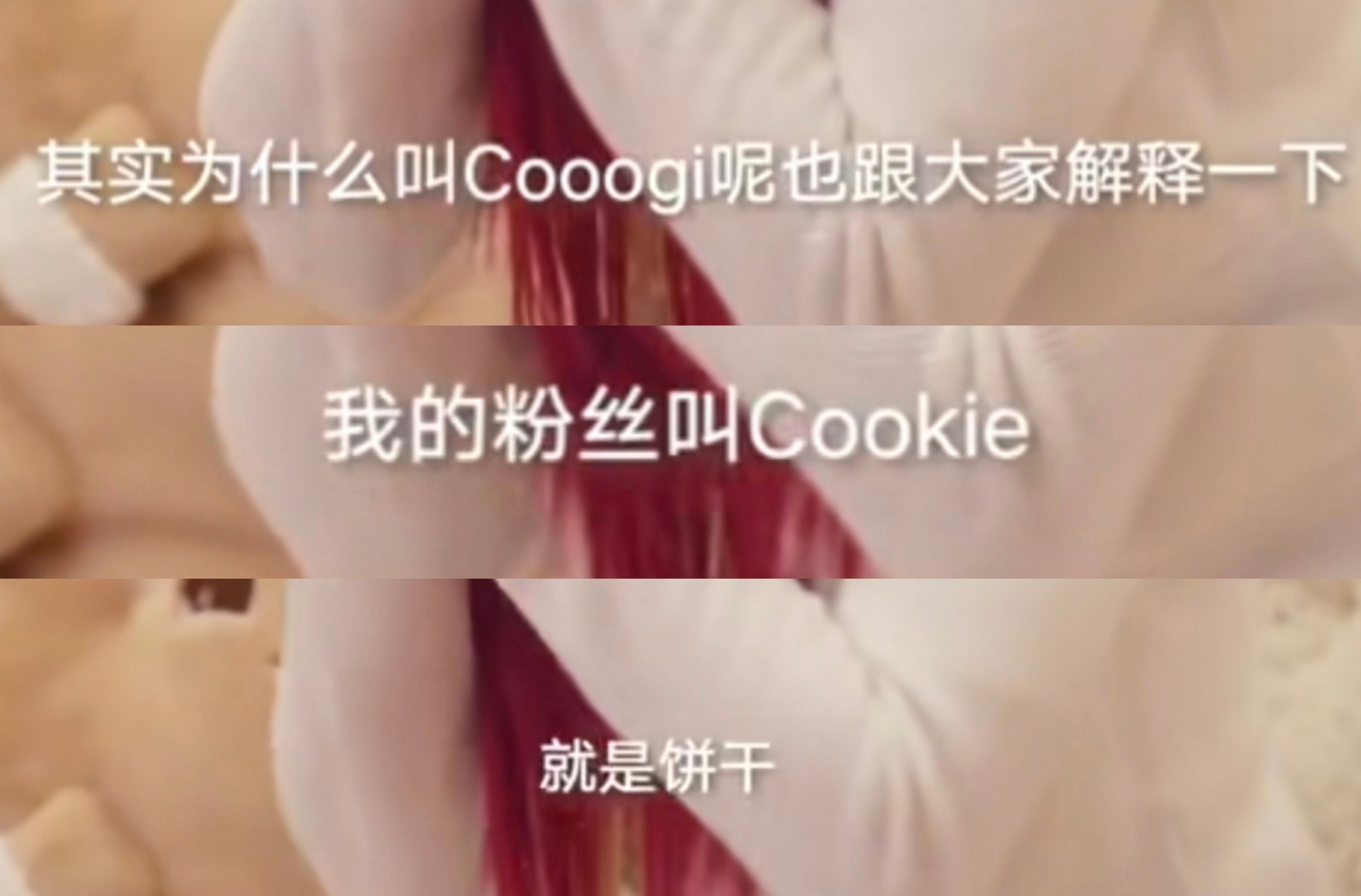 回顾一下:我的粉丝叫cookie 就是饼干~