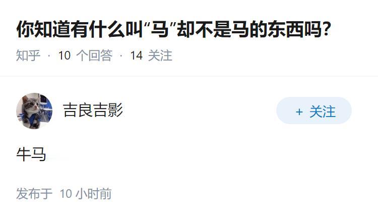 你知道有什么叫“马”却不是马的东西吗？