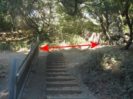 这是加州雷耶斯角国家公园的展示围栏，模拟1906年旧金山大地震造成的地面位移。围