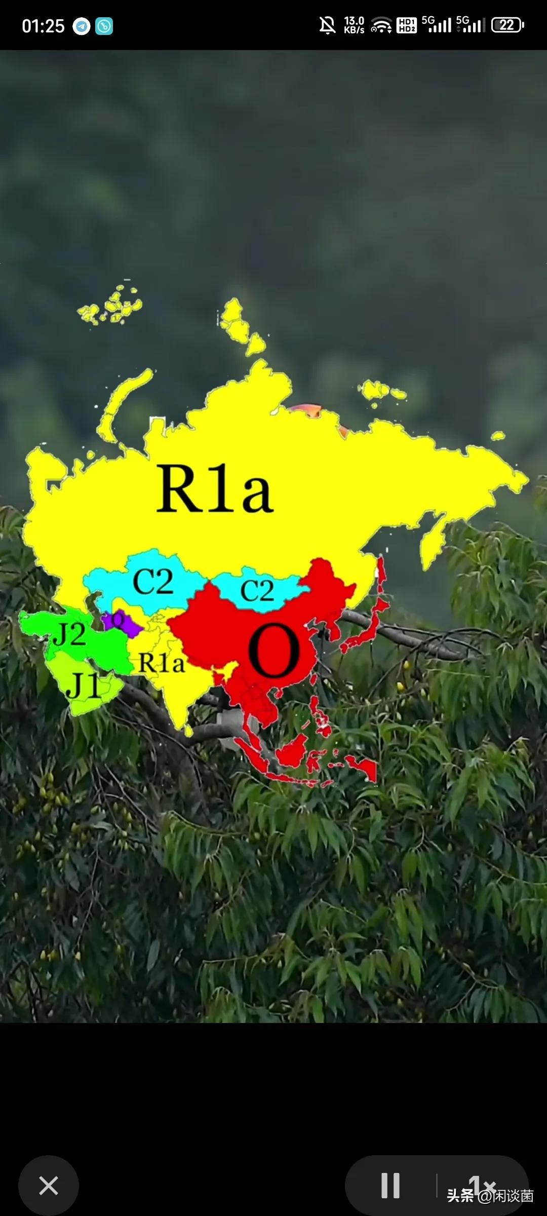 难怪印度、伊朗、土耳其等在民族自信方面非常相似，都喜欢过高估计自身实力，武器纸面