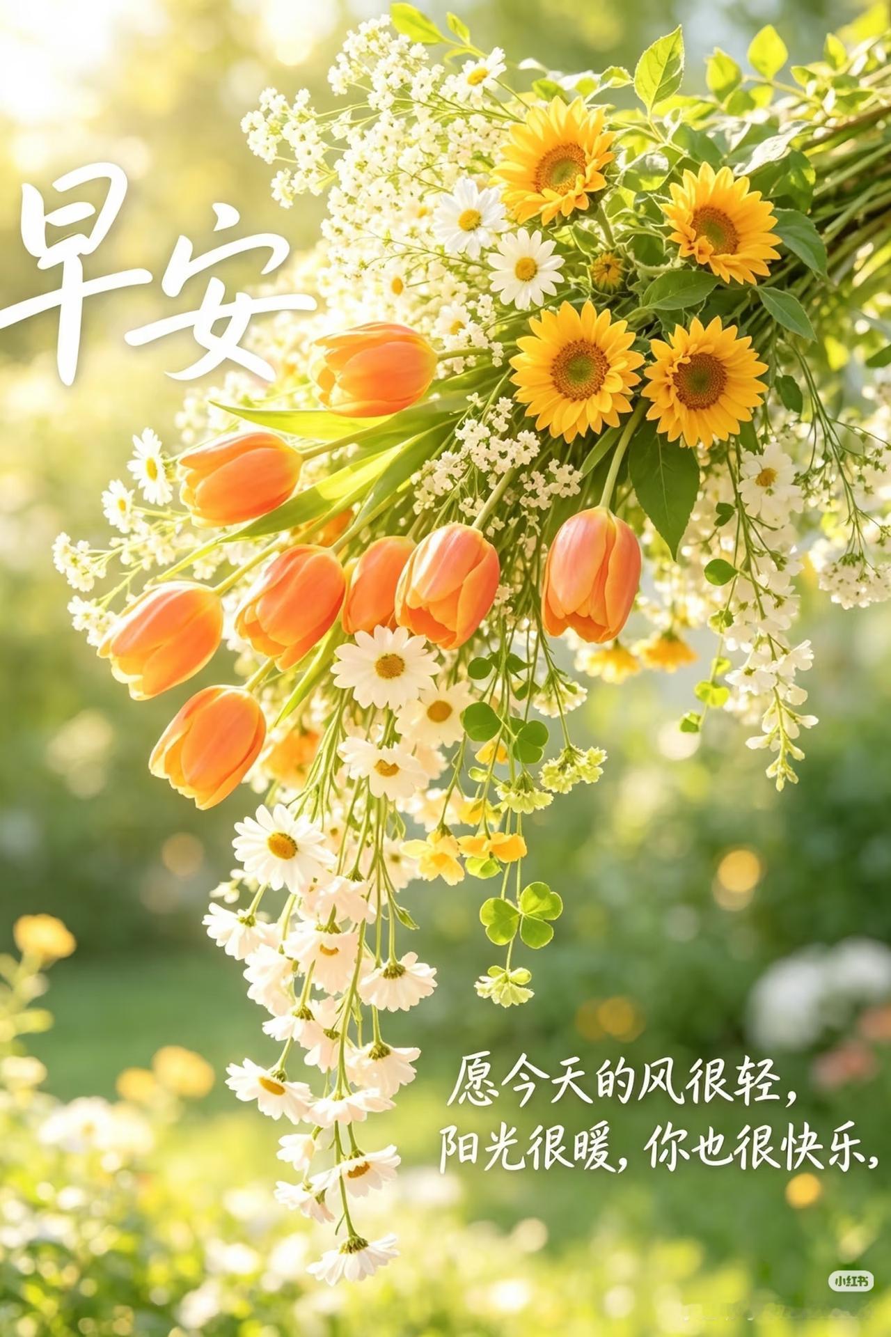 早上好，今天是9月4日星期五。
女排全锦赛定于9月19日至27日在广东佛山顺德举