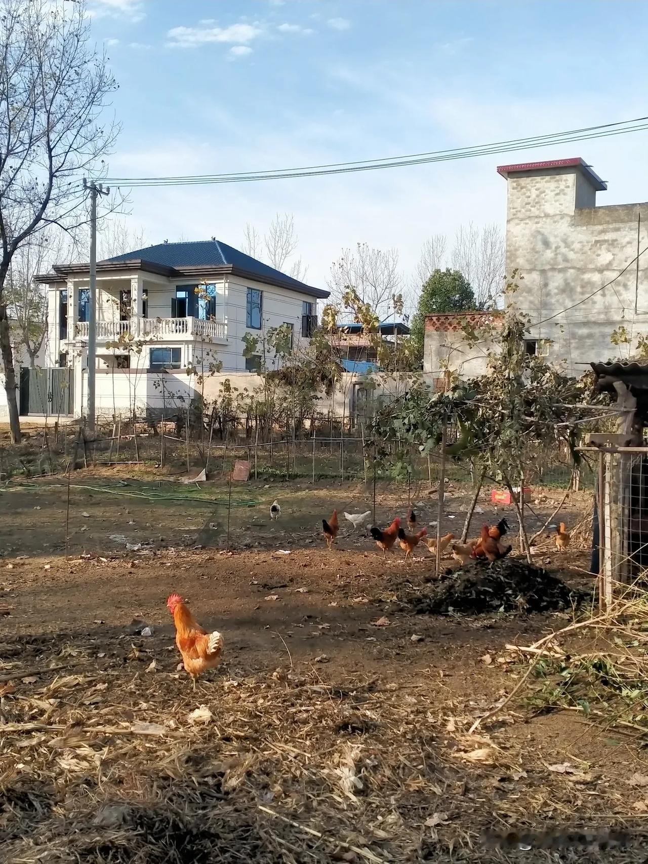 农村没有相亲市场，男婚女嫁基本上是依靠媒人牵线搭桥。
媒人有专业的也有业余的。