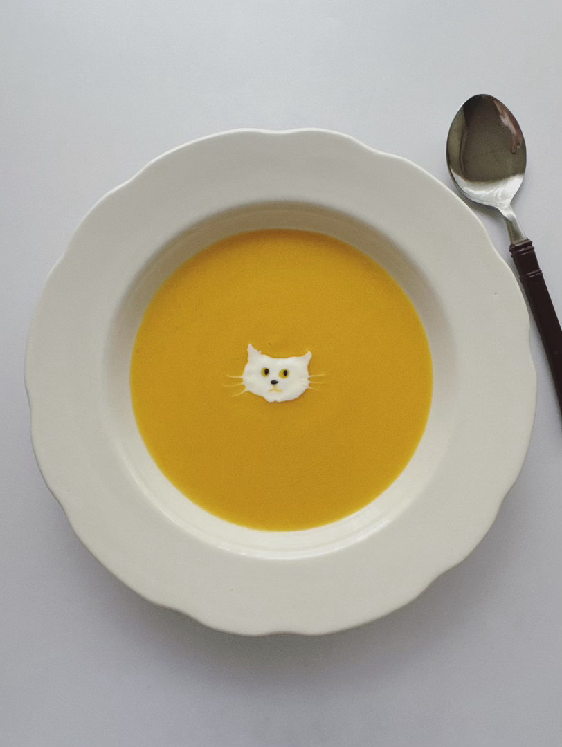 🐱🍽️ 