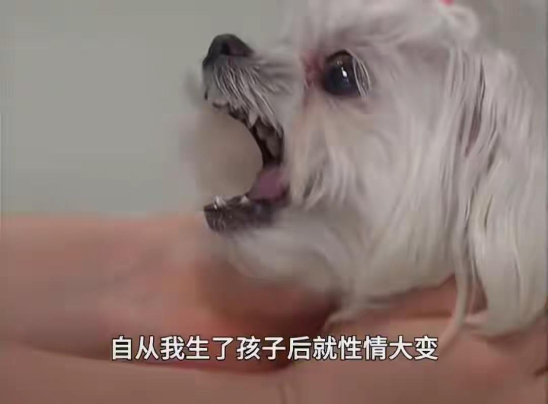 痛心！出生17天，脑袋被咬穿！监控拍下的这一幕让全家后背发凉
 
这起真实发生的