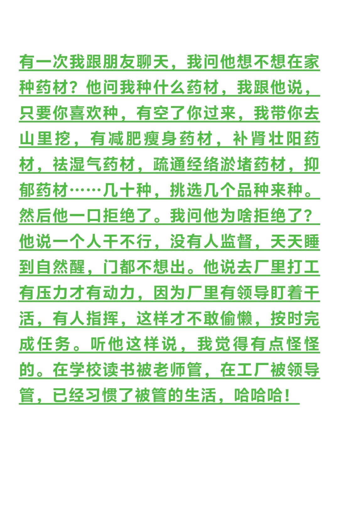 打工人的出路在哪里