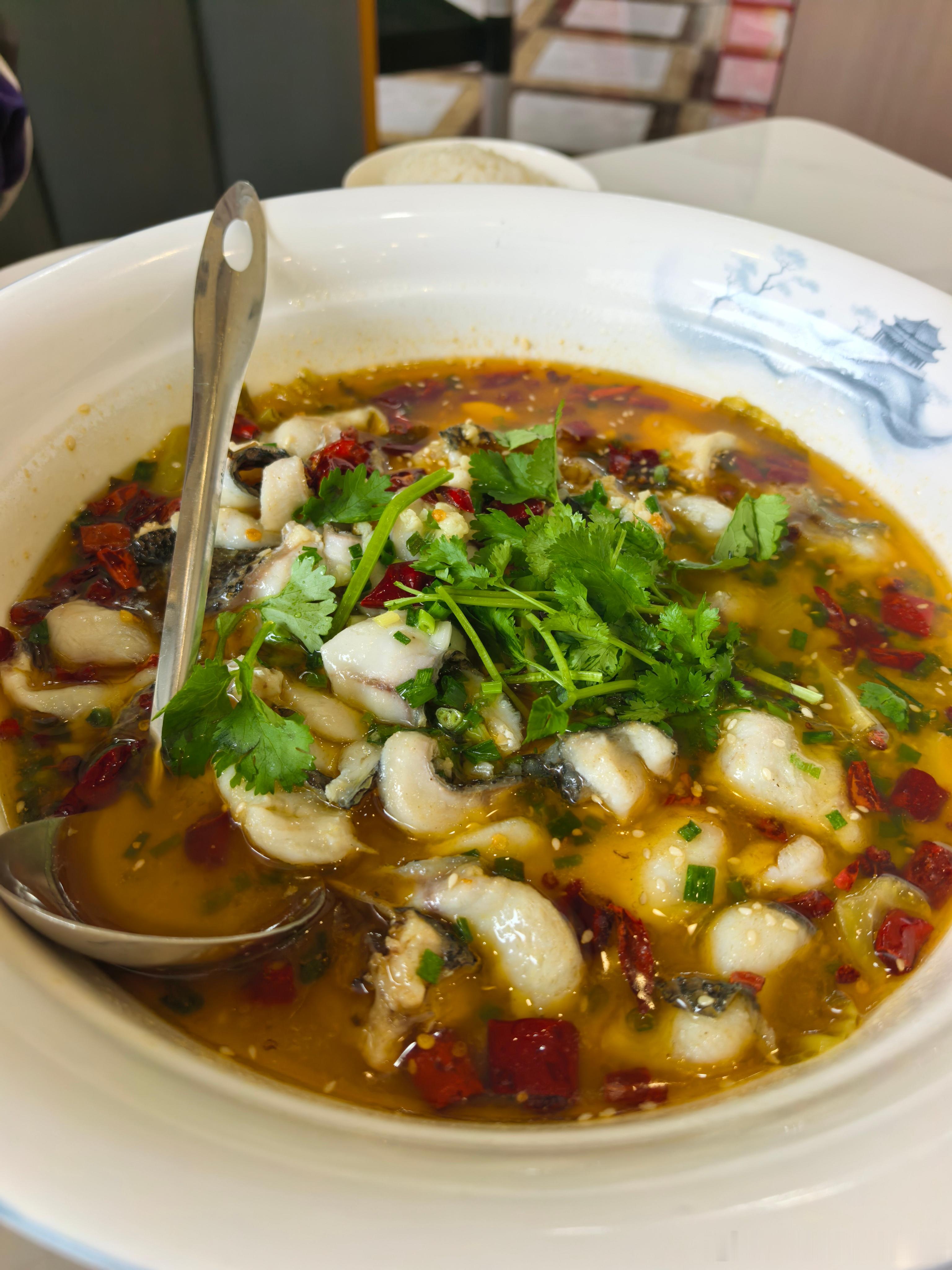 一生挚爱酸菜鱼糖醋里脊 家常菜下饭菜美食