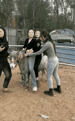 结局我早就想到了。[呲牙][呲牙][呲牙]