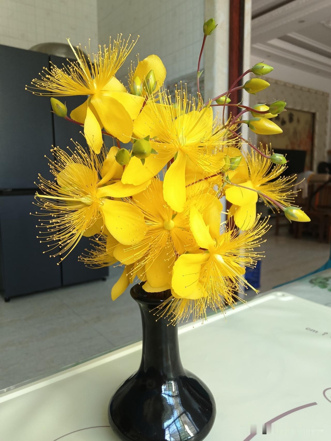 起床到底是先喝水还是先吃饭? 起床先喝水还是先吃饭，这事儿还挺有讲究。我觉得先喝