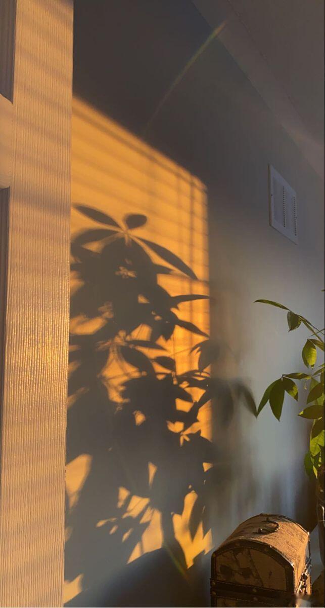 能让你温柔的人，肯定是给了你极致的爱;能让你变得沉默的人，肯定是伤你很深;能让你