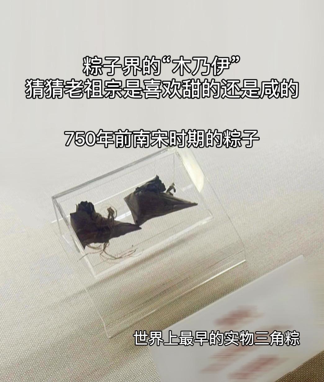 750年前南宋时期的粽子，世界上最早的实物三角粽