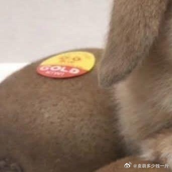 梦想是永不熄灭的火焰，它照亮我们前行的道路，让我们在追逐梦想的路上不会迷失方向。