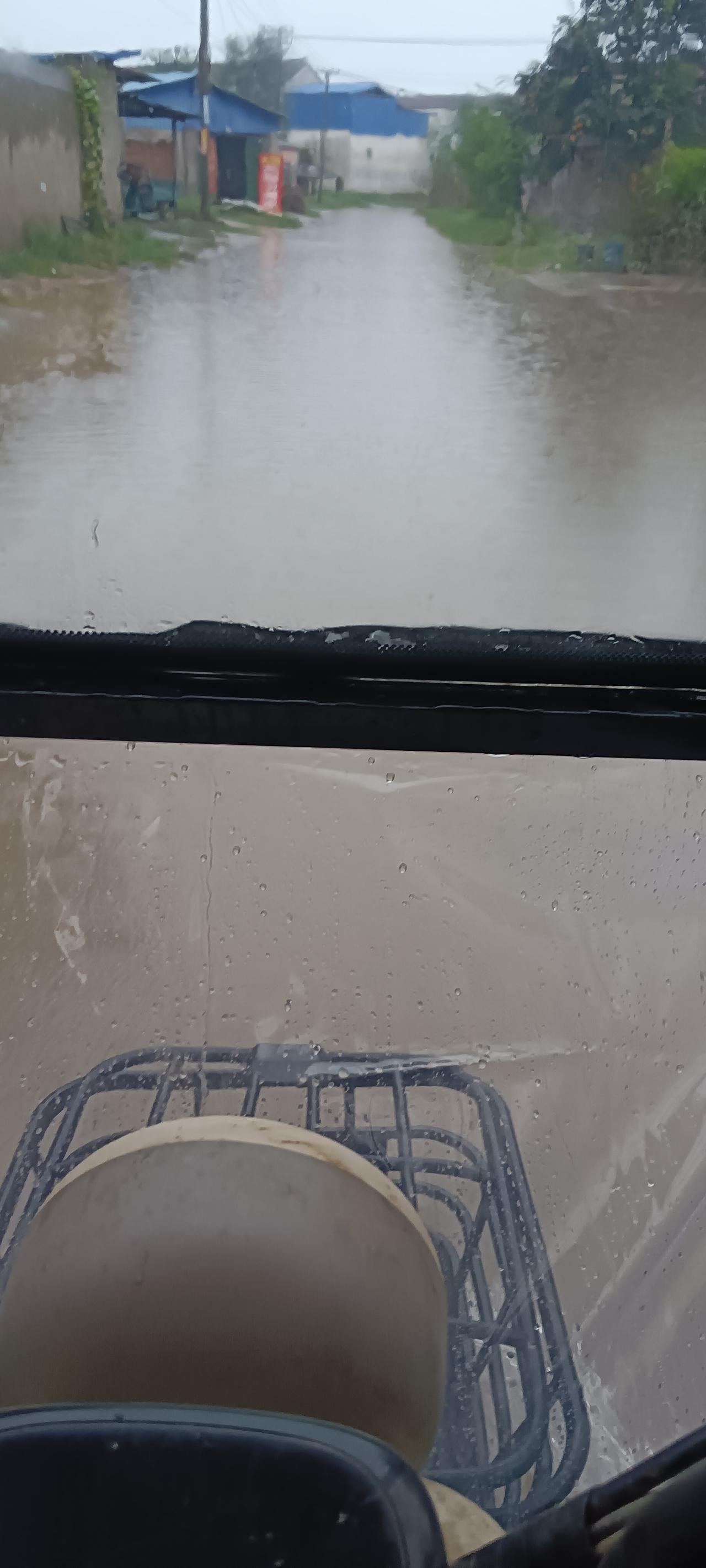 急死人了，河南这是包月了，天天下雨，没完没了了！


给我急得团团转，洋葱苗还没
