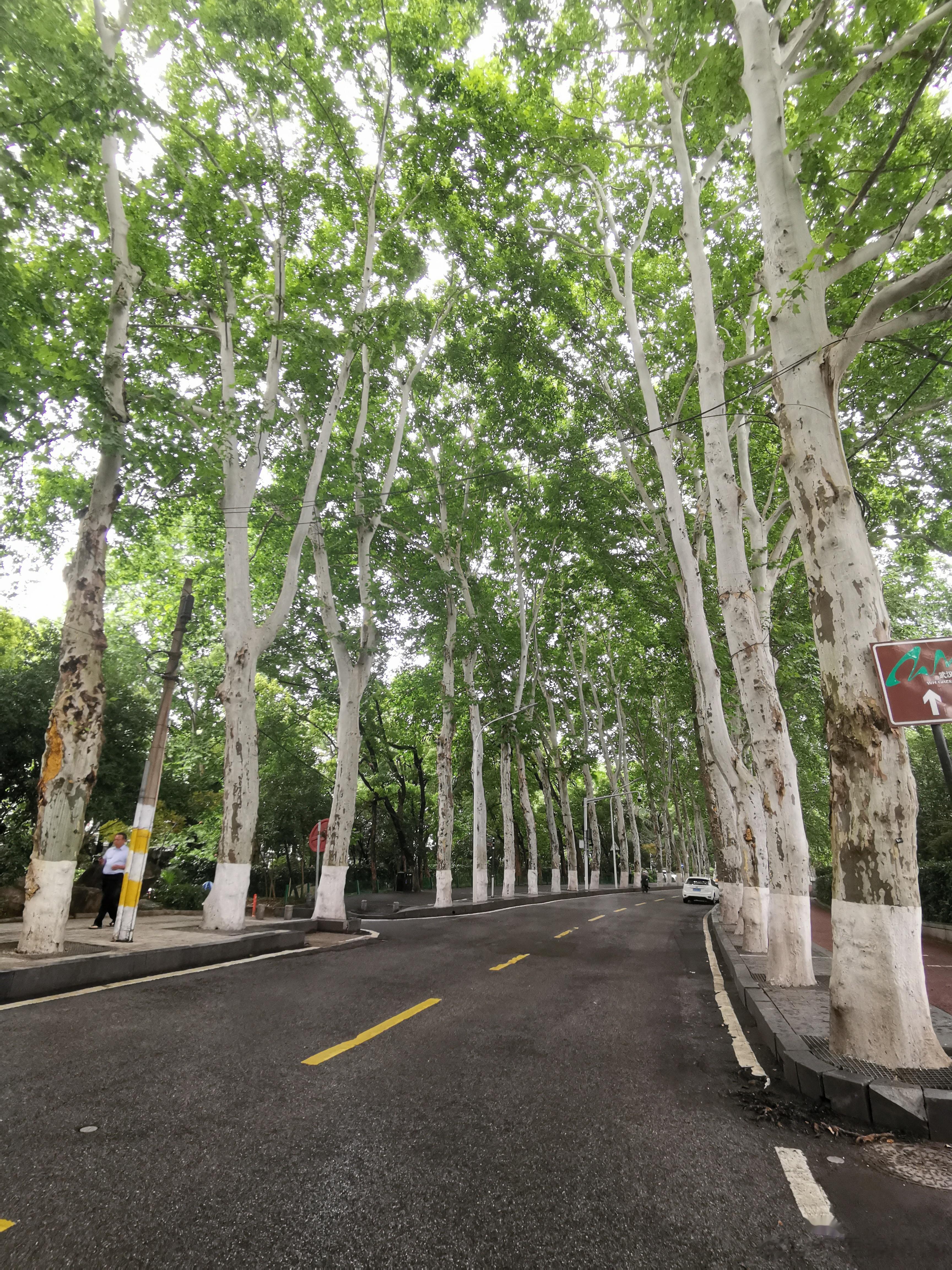 高血压、高血脂切记不能吃这4种食物1. 高盐食物：高盐饮食是导致高血压的主要原因