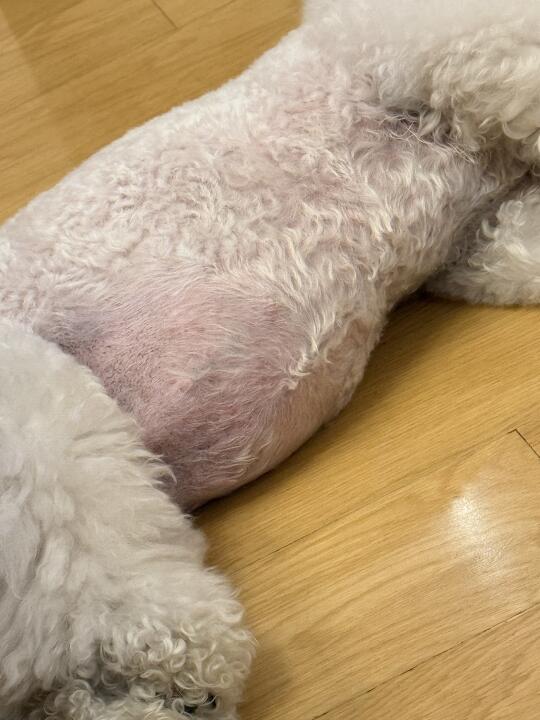 咱就是说，宝贝我们减减肥好不～