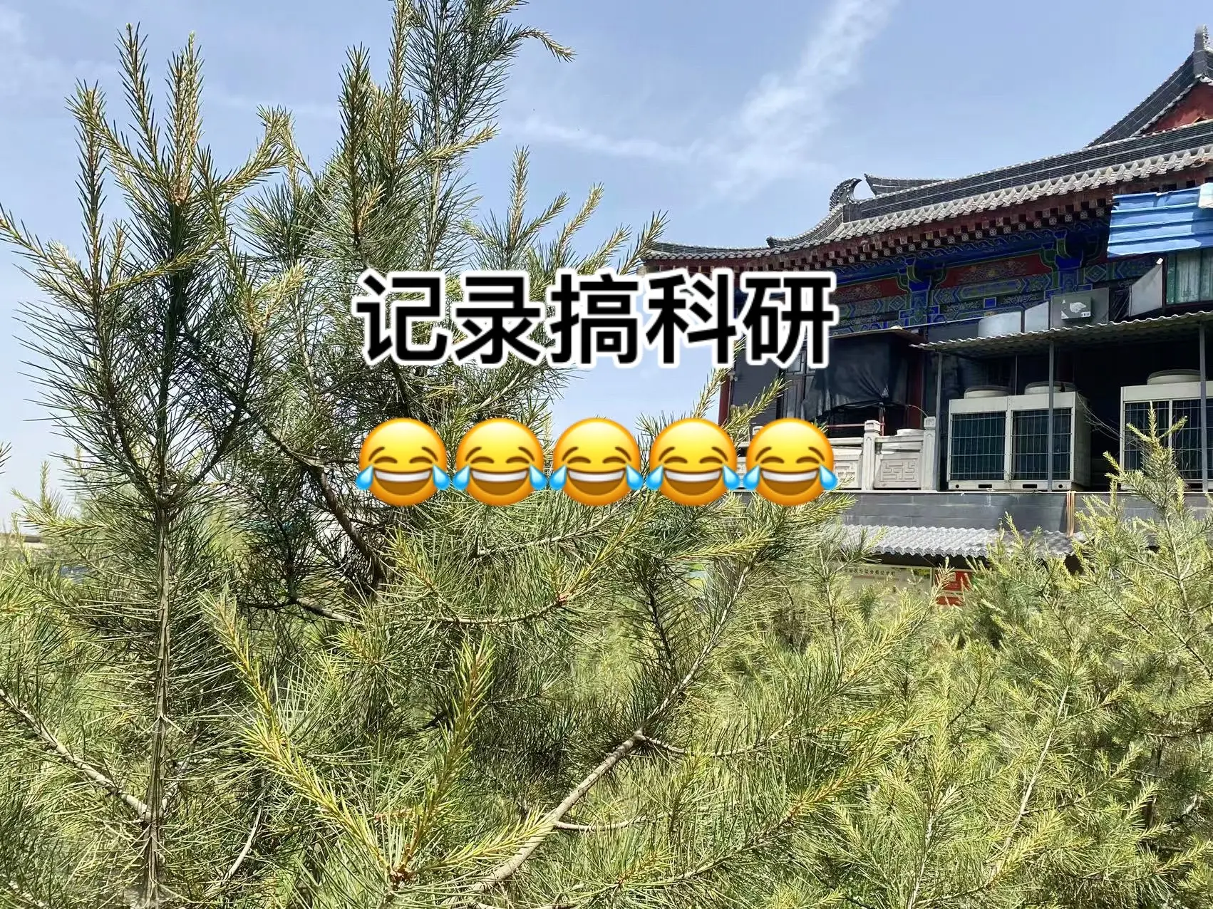 记录搞科研的一天。