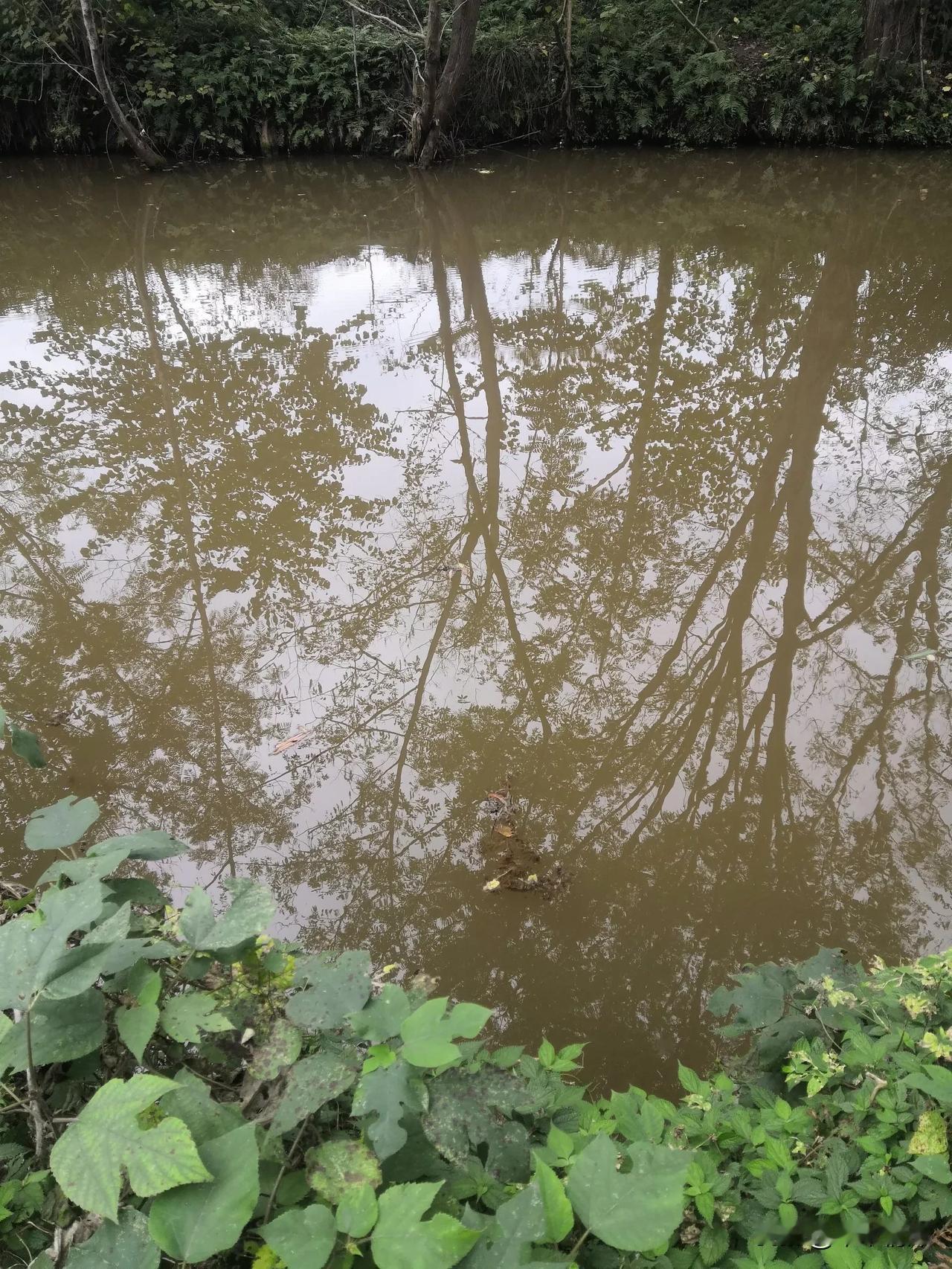 看看和水里面的倒影，树木漂亮，所以就拍下了这张照片，很美的地方，象龙乡也是赶场的