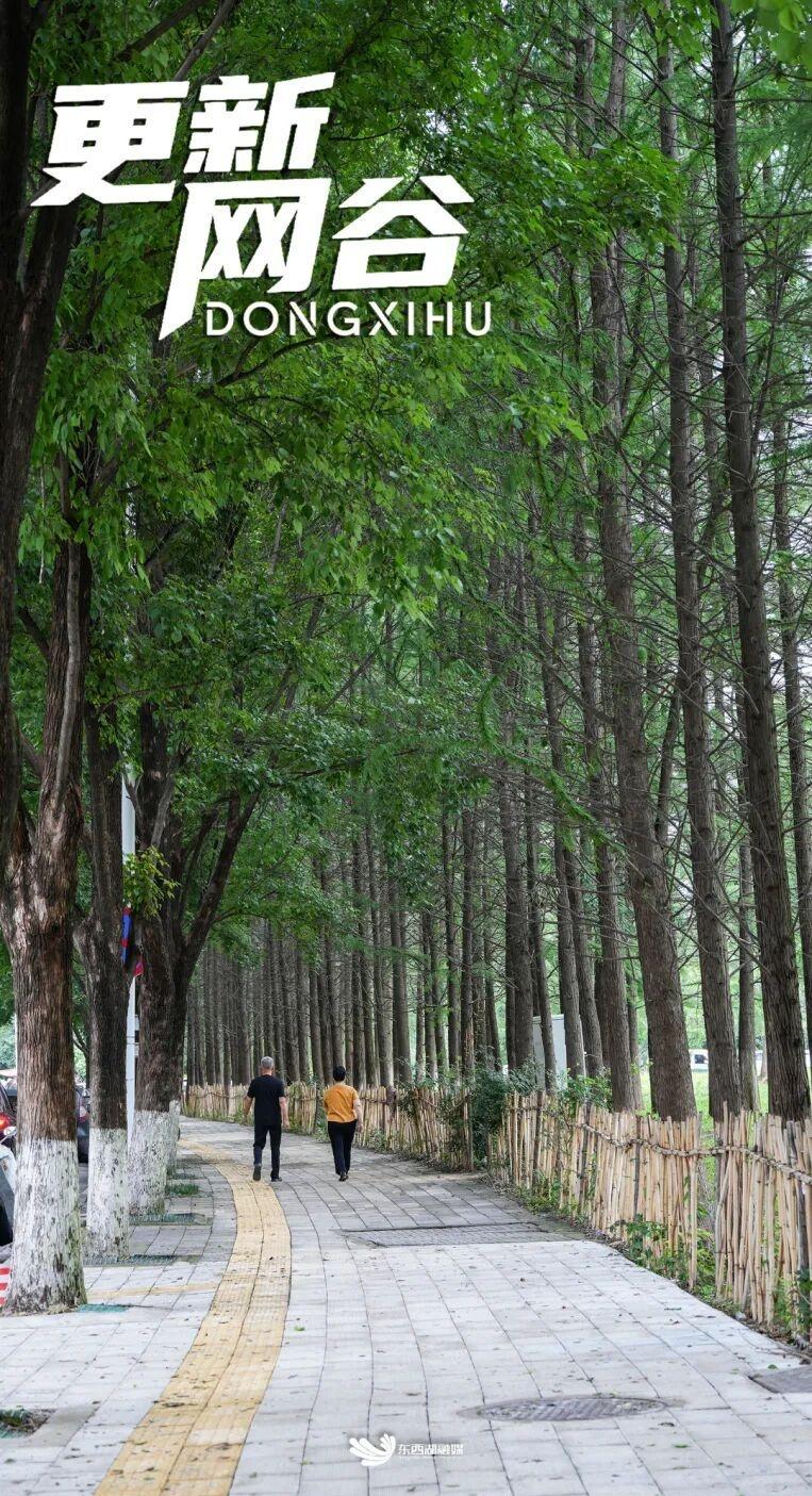 【东西湖这两条路，变啦！】“以前一到下雨天，孩子过马路要躲坑，我们推着电动车也要