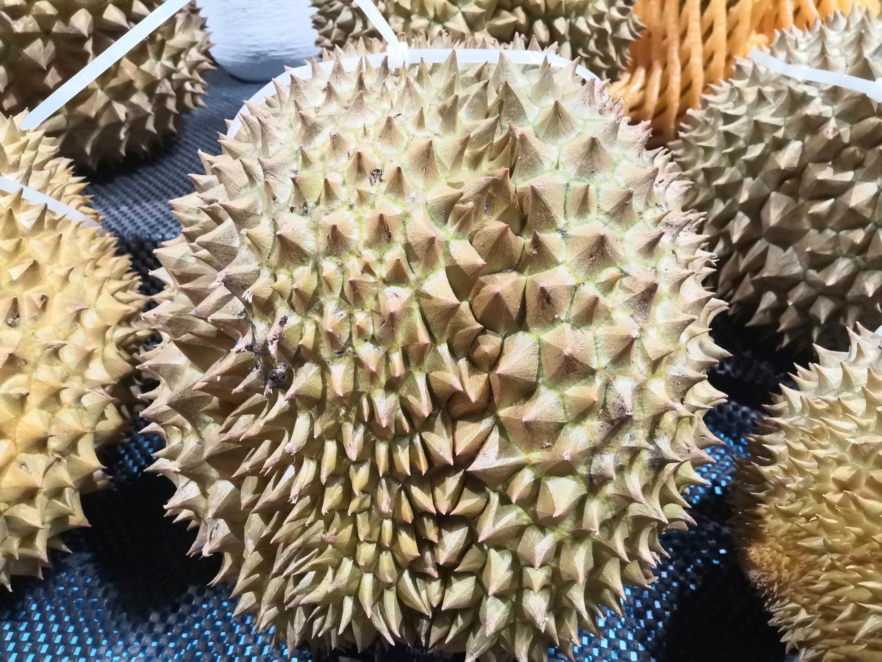 昨天我去逛超市，发现榴莲价格下来了不少，上海的盒马生鲜超市榴莲25.98元一斤，