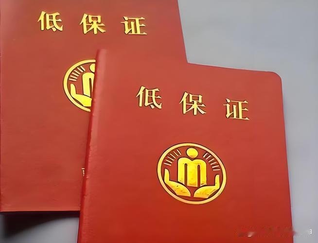 城乡“低保户”成员能不能去香港看演唱会？
当前网络热点都在讨论城乡低保户能不能去