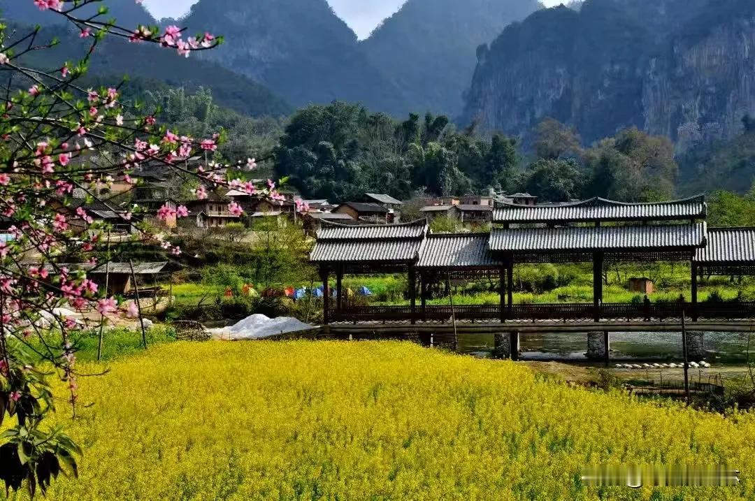 古风·坝美行
幽洞穿云入碧湾，
豁然开朗见尘寰。
古榕遮日栖闲鸟，
流水环村绕翠