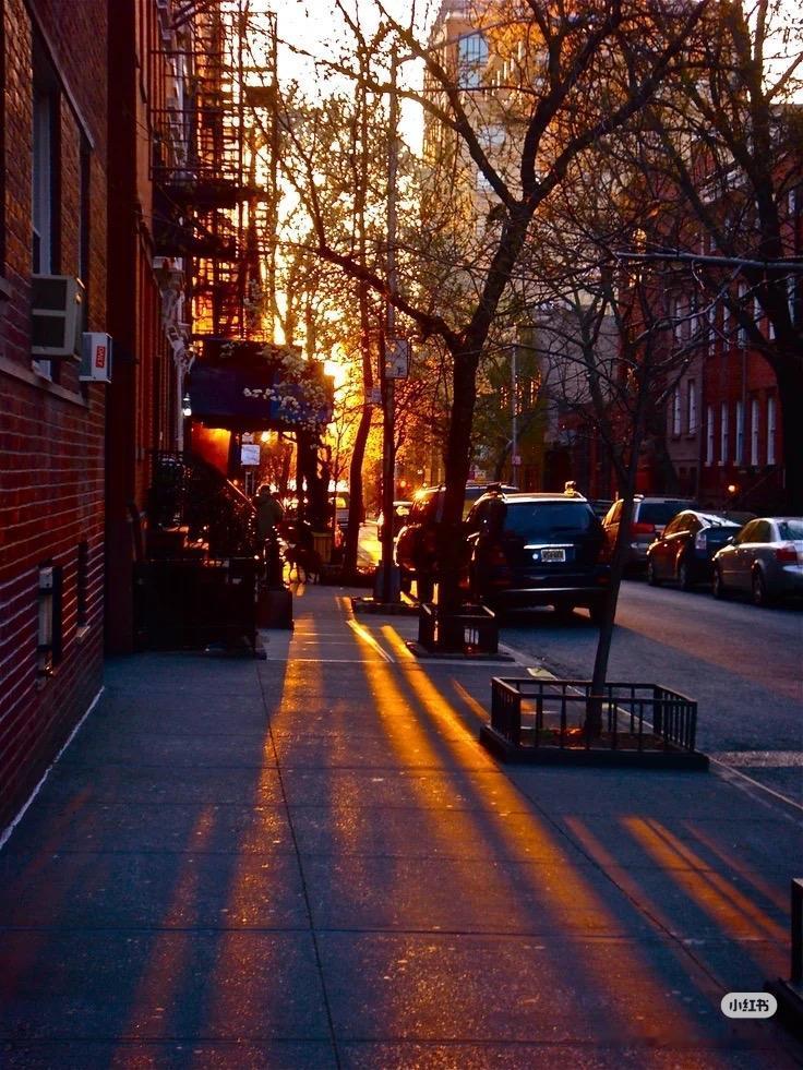 想看看你们最好看的一张壁纸