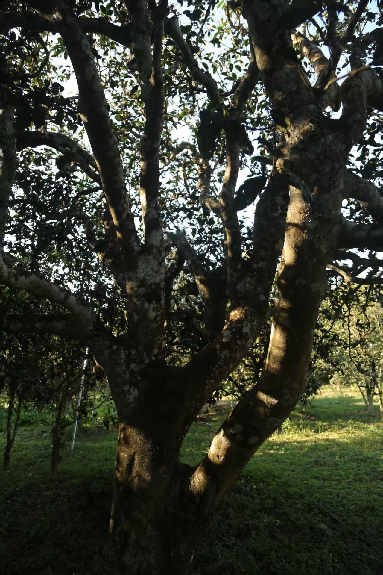 “在任何情况下，遭受的痛苦越深，随之而来的喜悦也就越大。”人这一生，都有属于自己