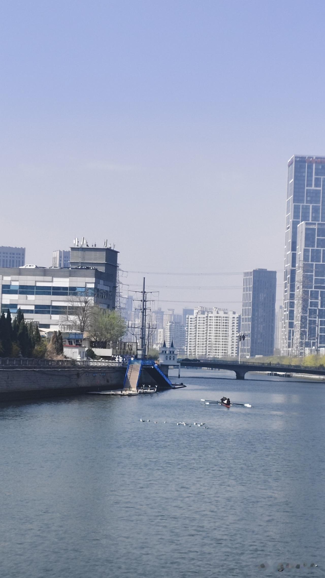 马栏河桥靠近入海口处，忽然发现一队人在划桨板，不知道这个项目咱们大连在全国处于什