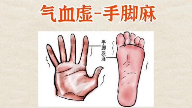 手脚发麻反反复复！张仲景通脉妙方，气血一通，麻木自消
内容仅供参考，如有不适请线