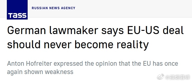 德国联邦议院议员安东·霍弗雷特对欧盟与美国达成的贸易协议提出了批评，称“这项协议