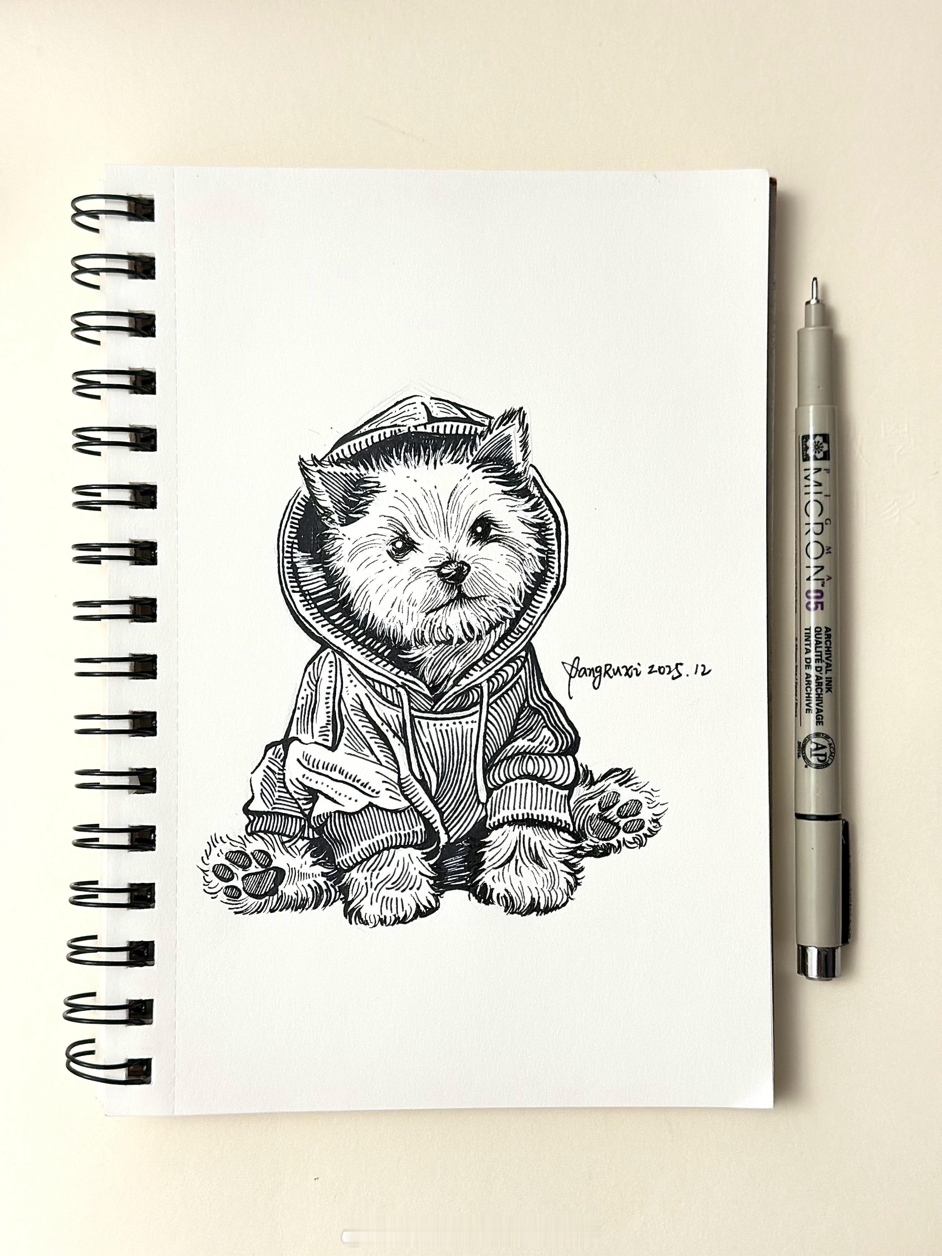 好喜欢呐！！西高地！