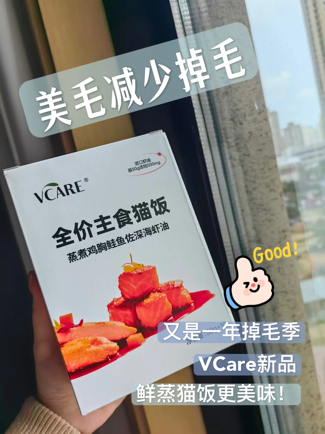 🐱换季掉毛如飘雪⁉️这碗“猫饭”把它搞定✅