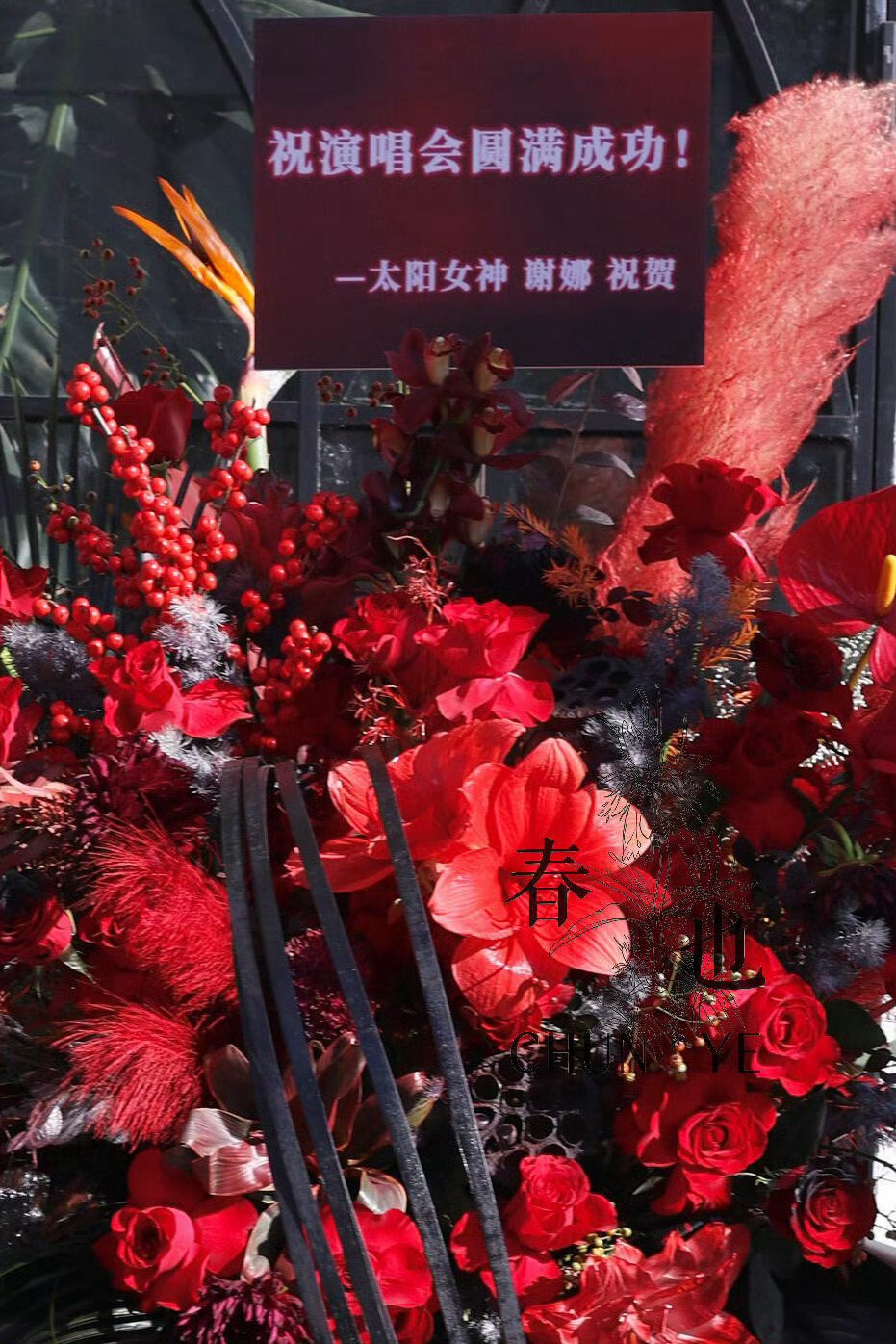 肖战南京演唱会花篮排面 谢娜 QQ音乐 柠萌影视都给肖战南京演唱会送了花篮[爱慕