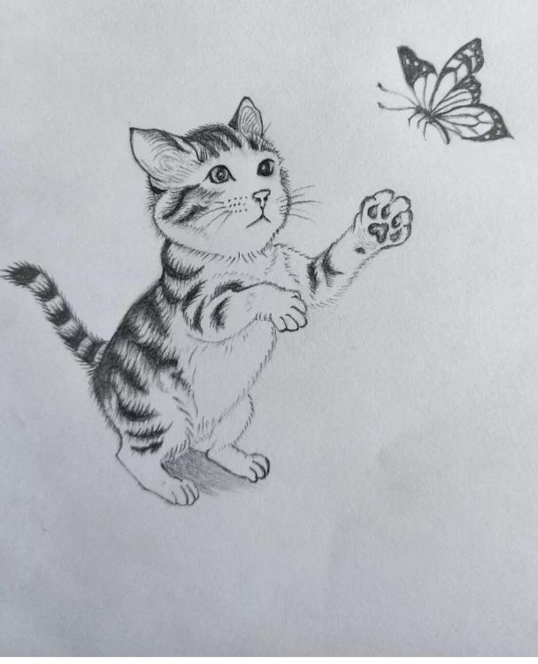 〔欣赏图片〕
图中画的小猫咪；
还有一个小蝴蝶;
素描艺术就是好；
色彩单一纯度