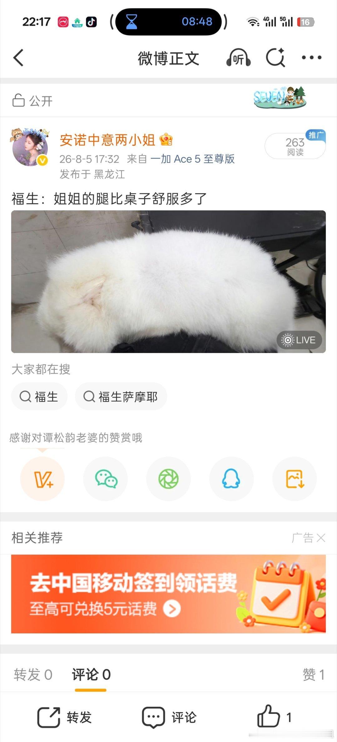 福生是银狐不是萨摩耶 渣浪你这样会让我觉得你没见识 