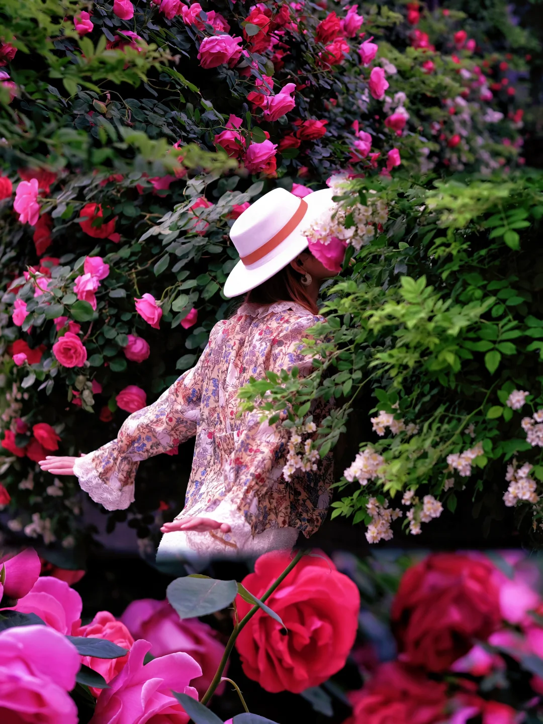 避开人潮！西安4月限定：城墙蔷薇&月季盛放