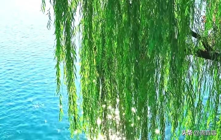 水岸华庭柳带晕


丁香隐隐气微醺


云露片片游天际


映入长河绘彩裙