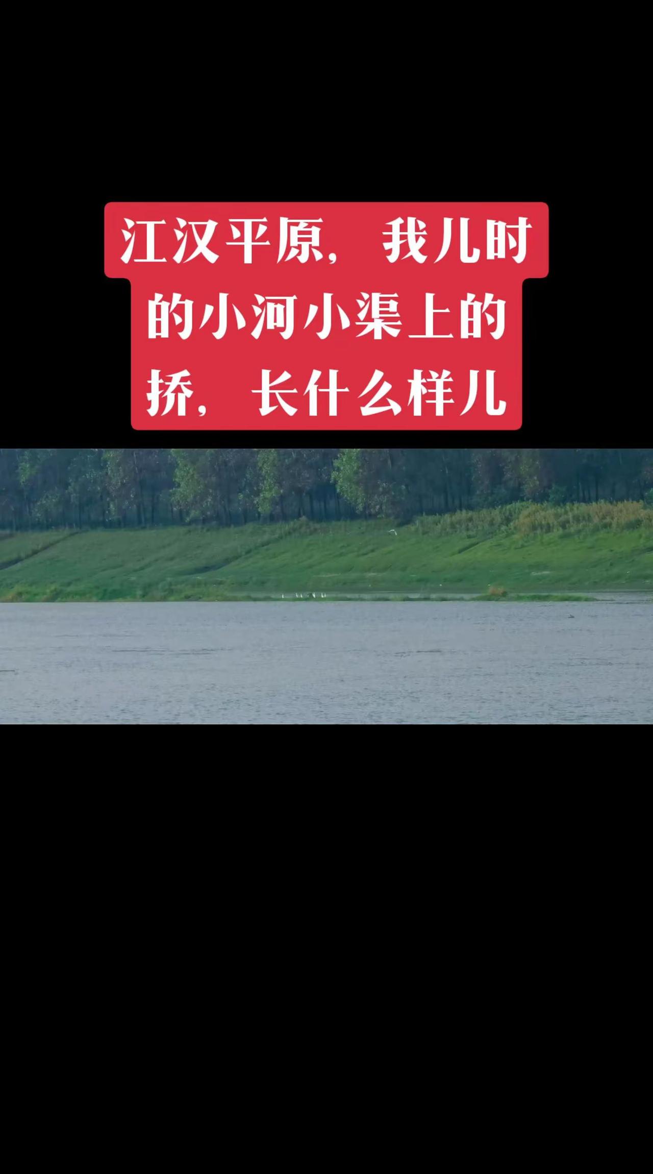 江汉平原，我儿时的小河小桥长什么样？