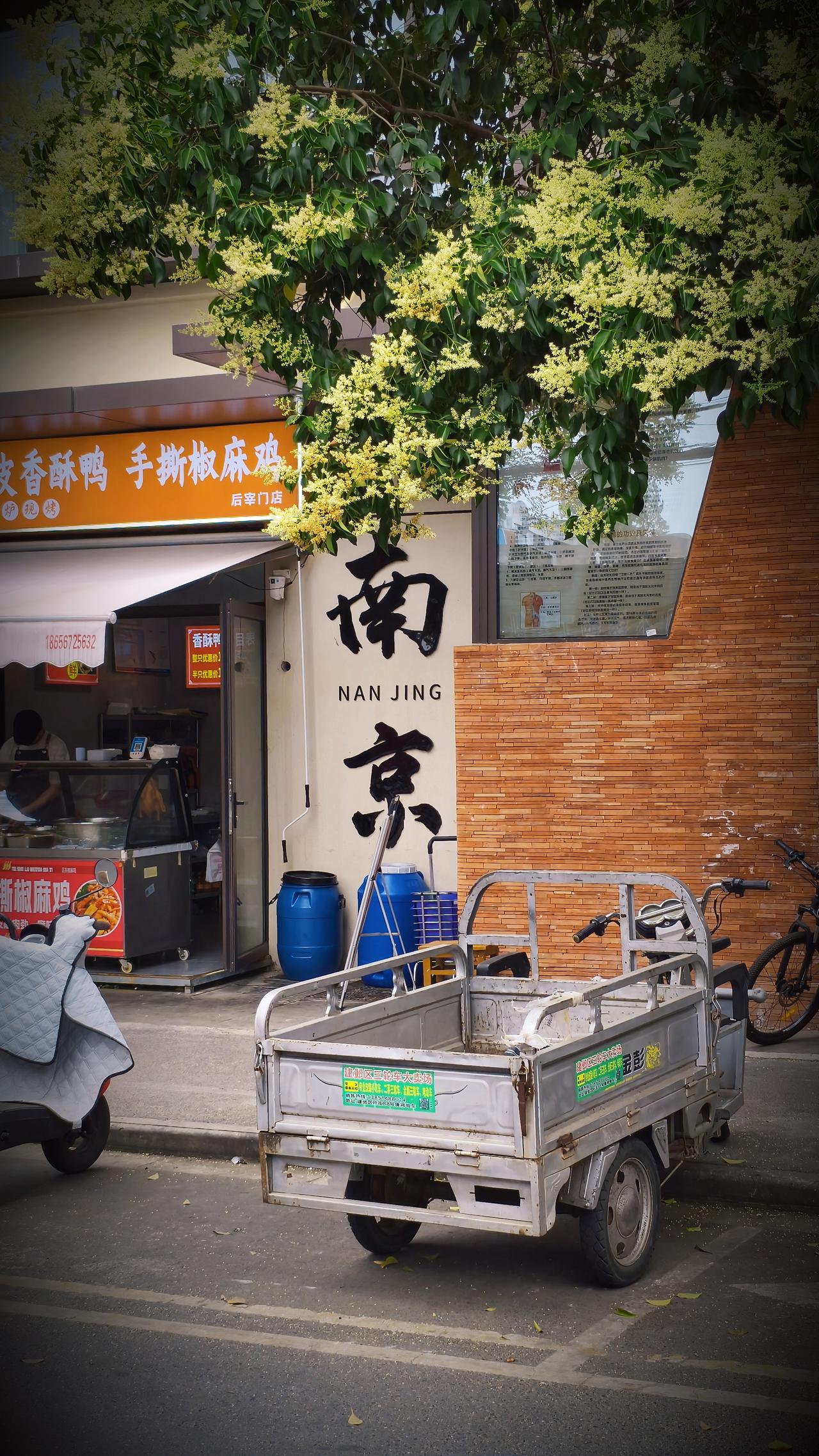 她缺乏同理心，从不站在别人角度思考问题，做错了事也绝不低头。要是争论起来，有理时
