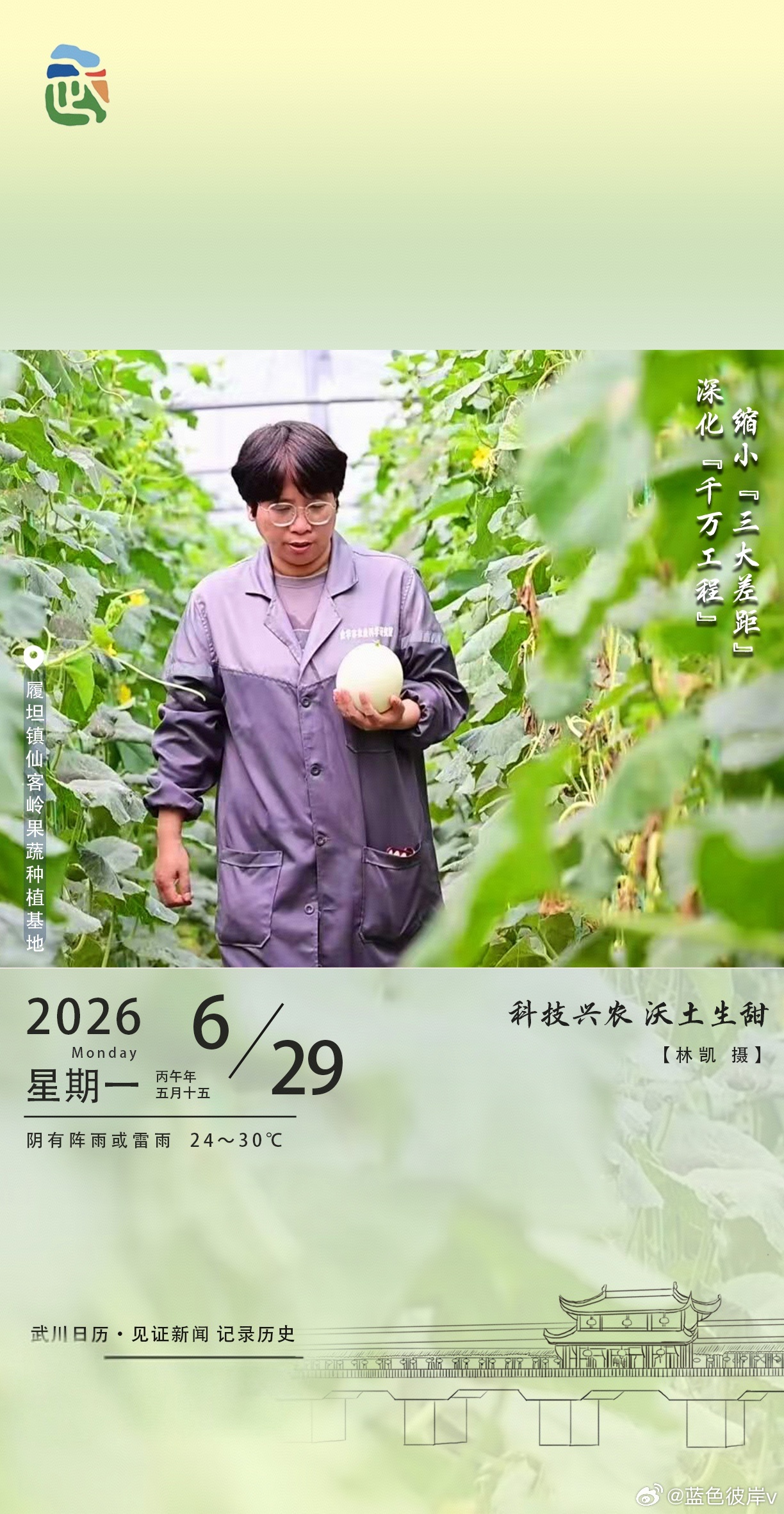 科技兴农沃土生甜在履坦镇仙客岭果蔬基地，满眼绿意间藏着丰收的甜！工作人员手捧圆润