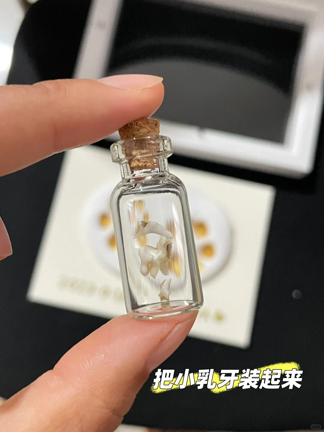 收到了小狗送的生日礼物！