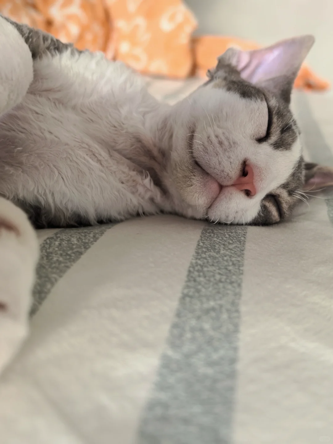 侧睡真的会变丑