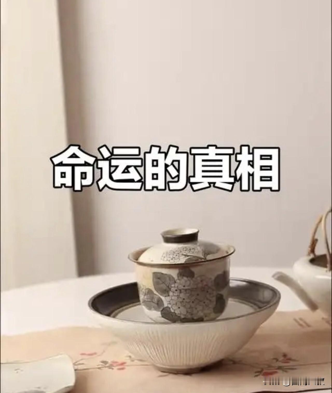 “命”乃先天定数，“运”乃后天变数，二者相辅相成，影响人的一生。
“命”由先天禀