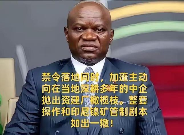 加蓬照搬印尼镍矿套路？叫停锰矿原矿出口，逼中企交出核心冶炼技术！ 禁令刚落地，扭