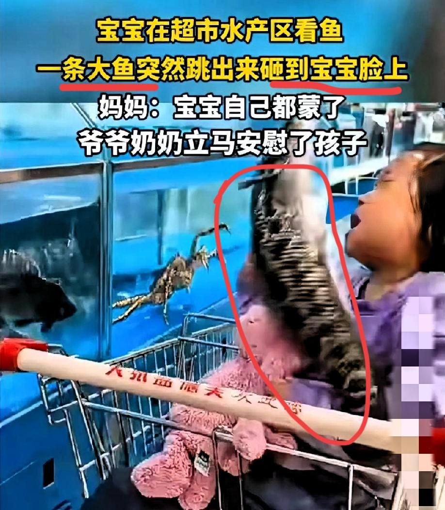 这突如其来的意外，
把所有人都吓懵了！
这条鱼是缘分，必须买回家。

爷爷奶奶带