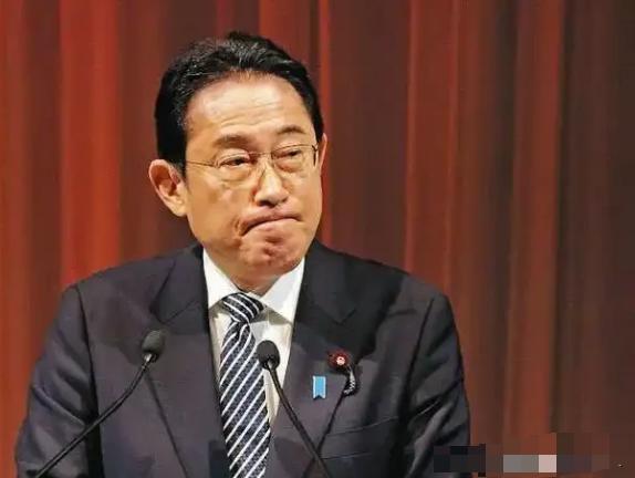 日本的情报网在中国，已经没有未来了。从军港测绘到基因图像偷运，从歼-20涂层配方